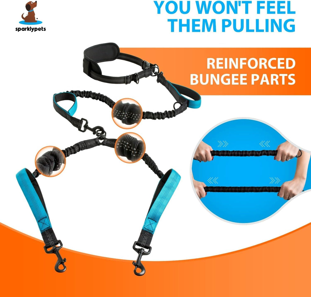 SparklyPets bungee élastique absorbant les chocs pour protections du dos