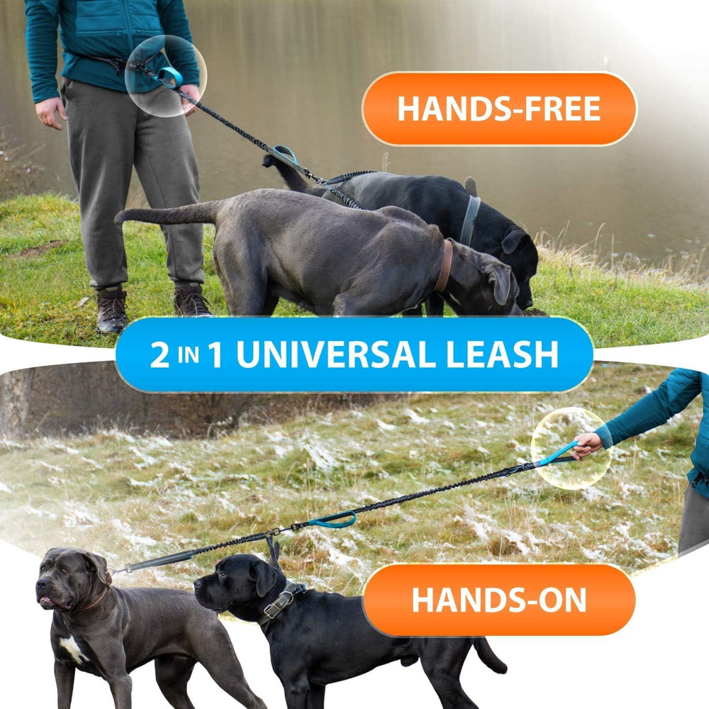 SparklyPets laisse en usage jogging avec deux chiens, liberté et stabilité