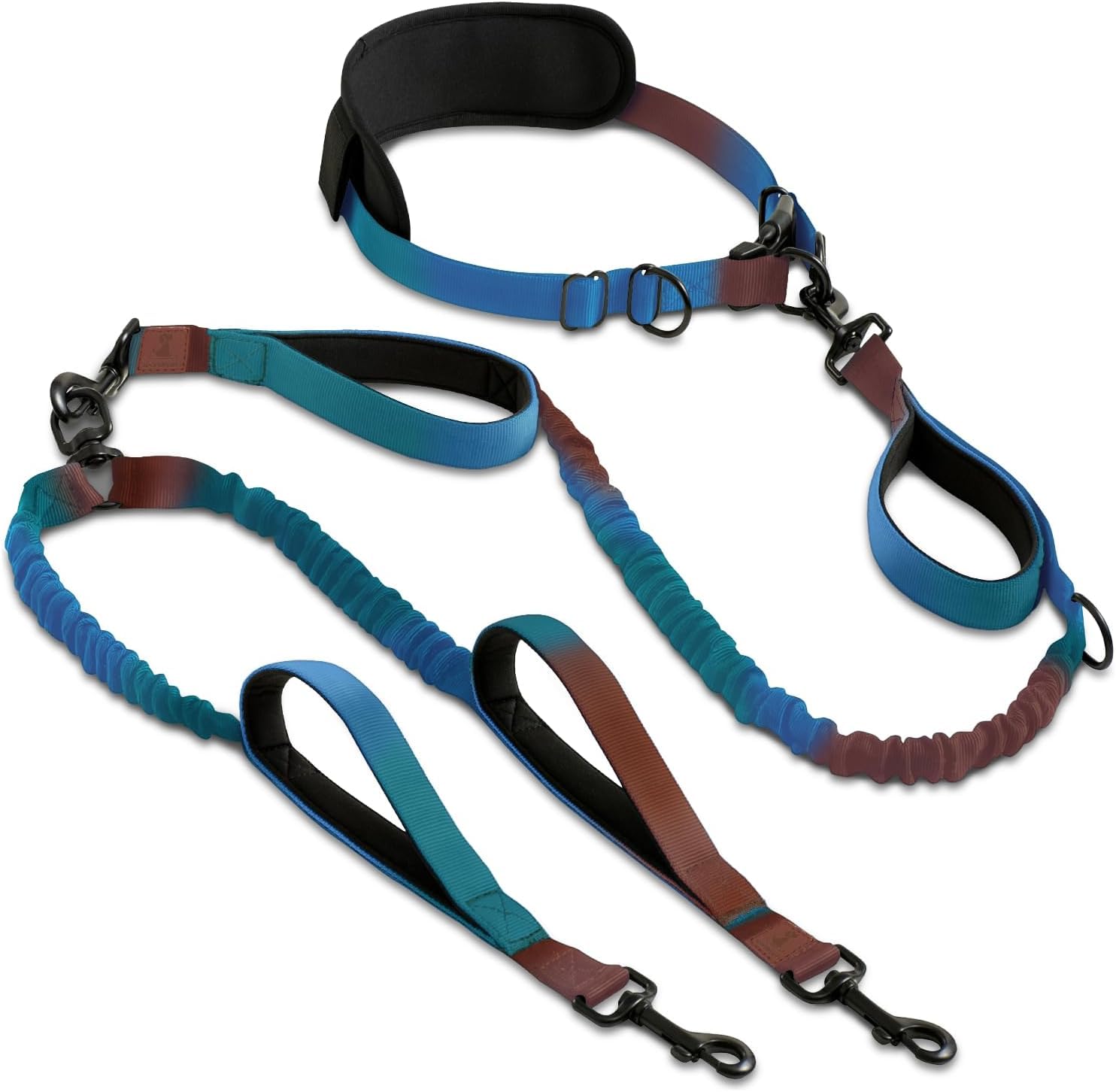 SparklyPets packaging de la laisse gradient blue montrant le design et la robustesse