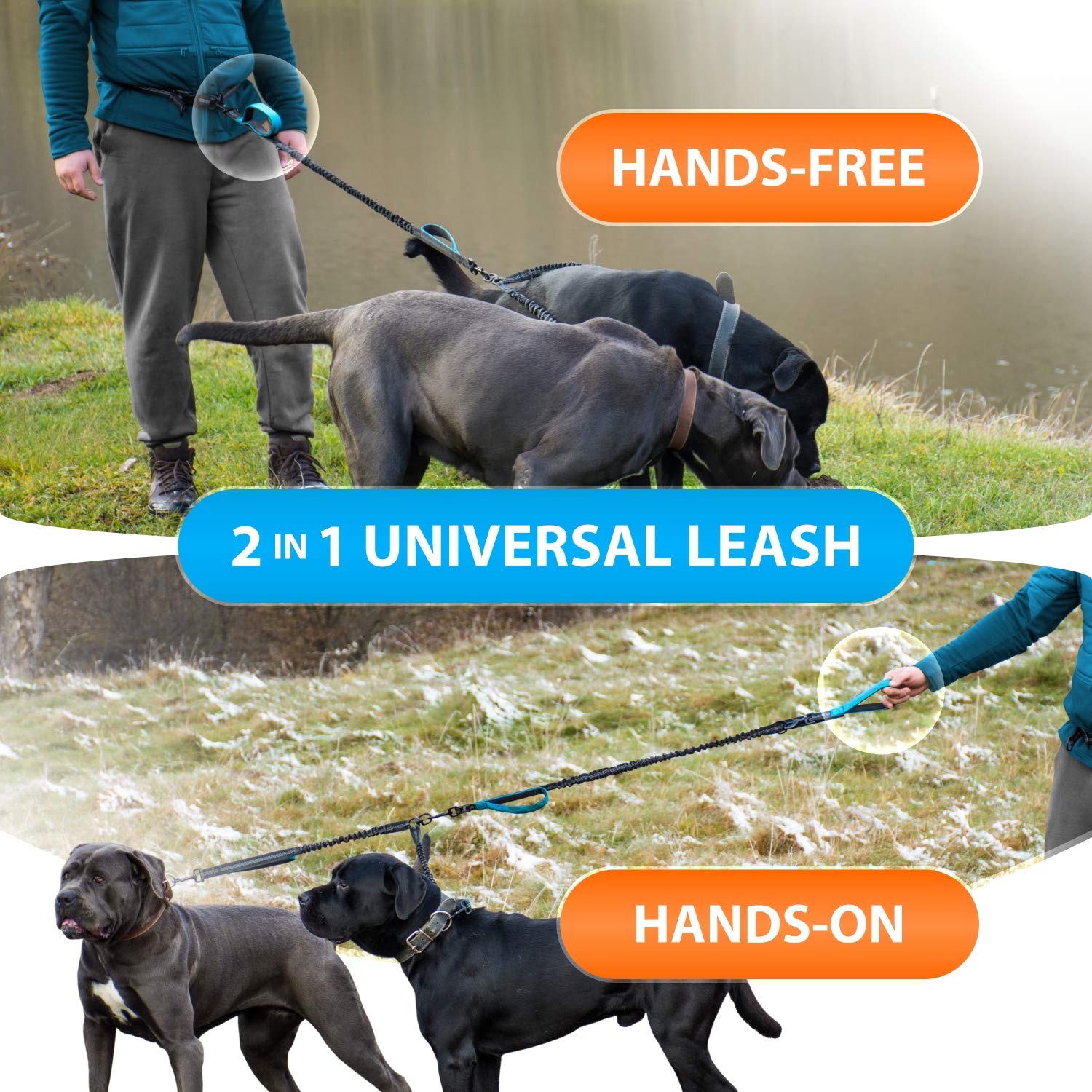 SparklyPets laisse portée à la taille démontrant le mode mains libres stable
