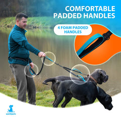 SparklyPets séparateur rotatif en action évitant les nœuds et torsions