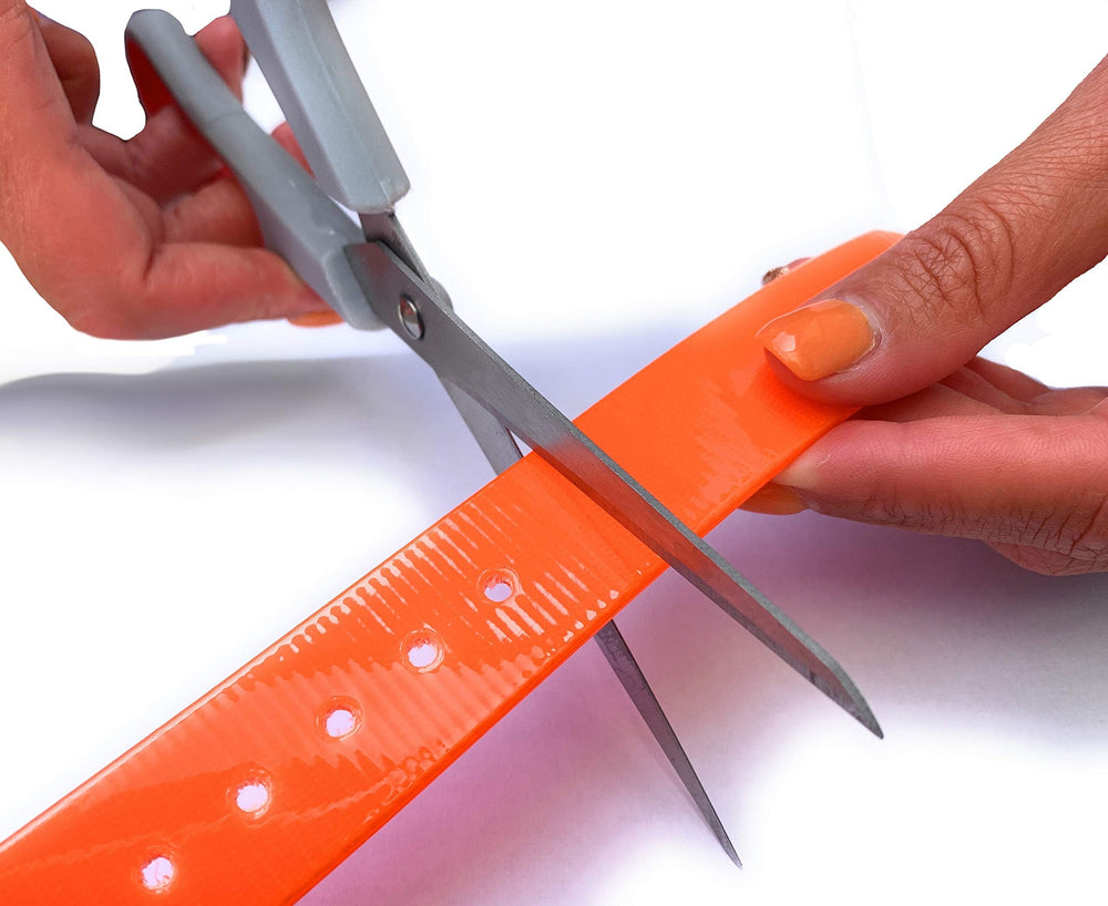 Sparky Pet Co ferrures en nickel présentant finition durable et anti-corrosion