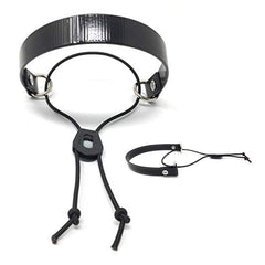 Sparky Pet Co détail Nexus Wheel Lock, maintien sûr du récepteur