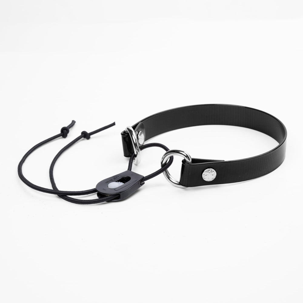 Sparky Pet Co sangle face montrant design et largeur, confort assuré