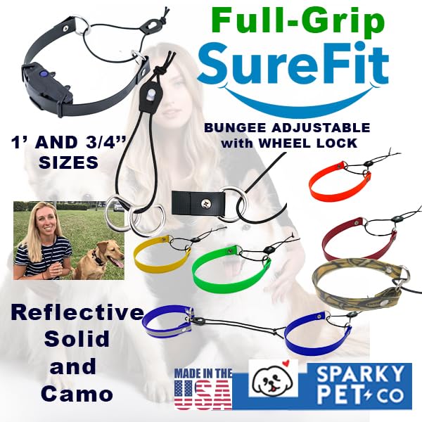 Sparky Pet Co sangle utilisée pendant entraînement, durabilité visible