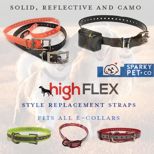 Sparky Pet Co bracelet porté par chien lors de randonnée pour robustesse