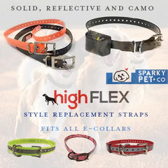 Sparky Pet Co bracelet porté par chien lors de randonnée pour robustesse
