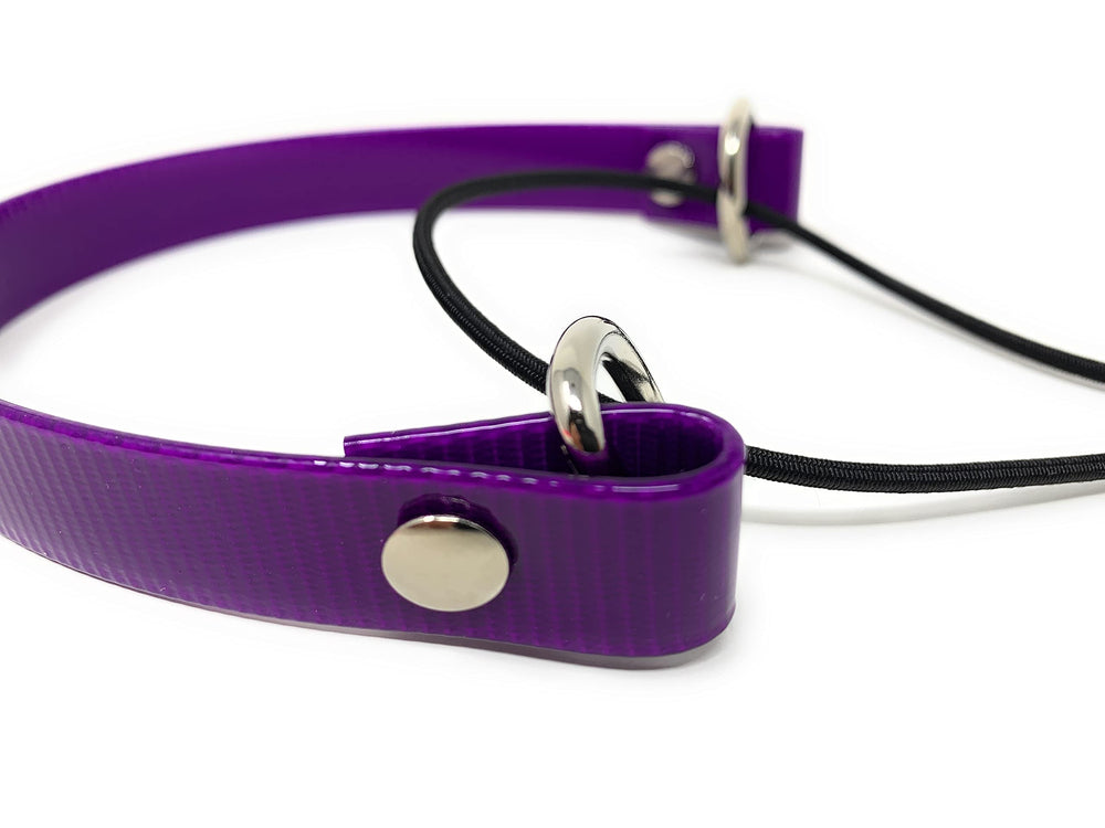 Sparky Pet Co détail du Biothane montrant la surface imperméable facile à nettoyer