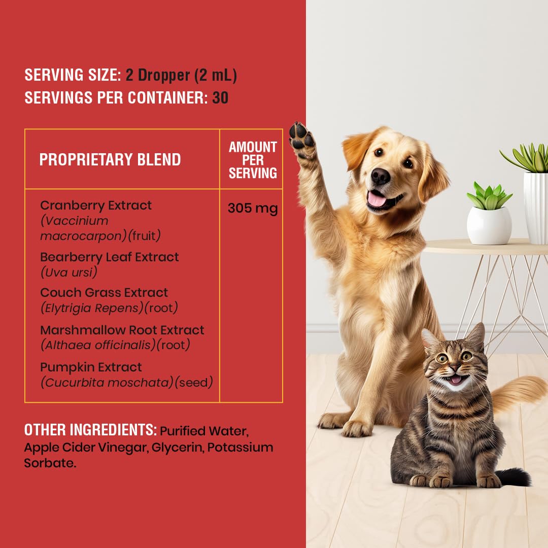 Special Breed administration à un chien montrant confort et soutien vésical