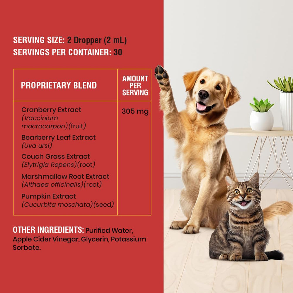 Special Breed administration à un chien montrant confort et soutien vésical