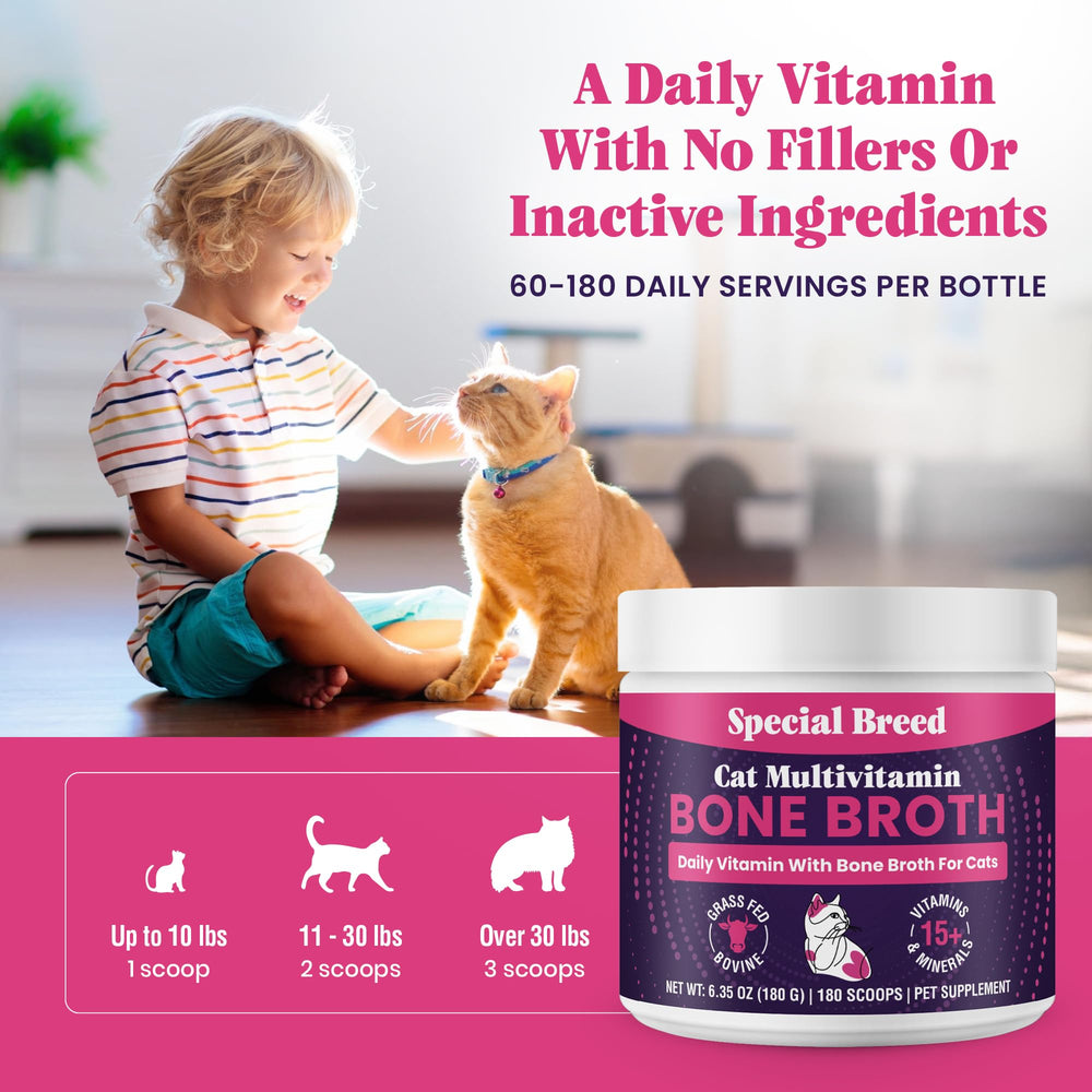 Special Breed chat en train de manger le mélange, bénéfice acceptation par chats difficiles