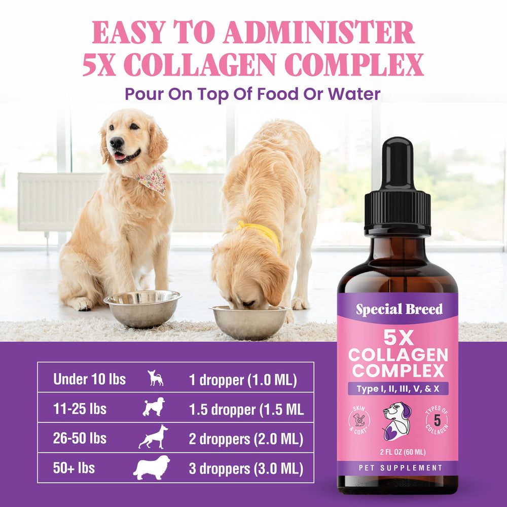 Special Breed comparaison taille bouteille près d'une main pour dosage pratique
