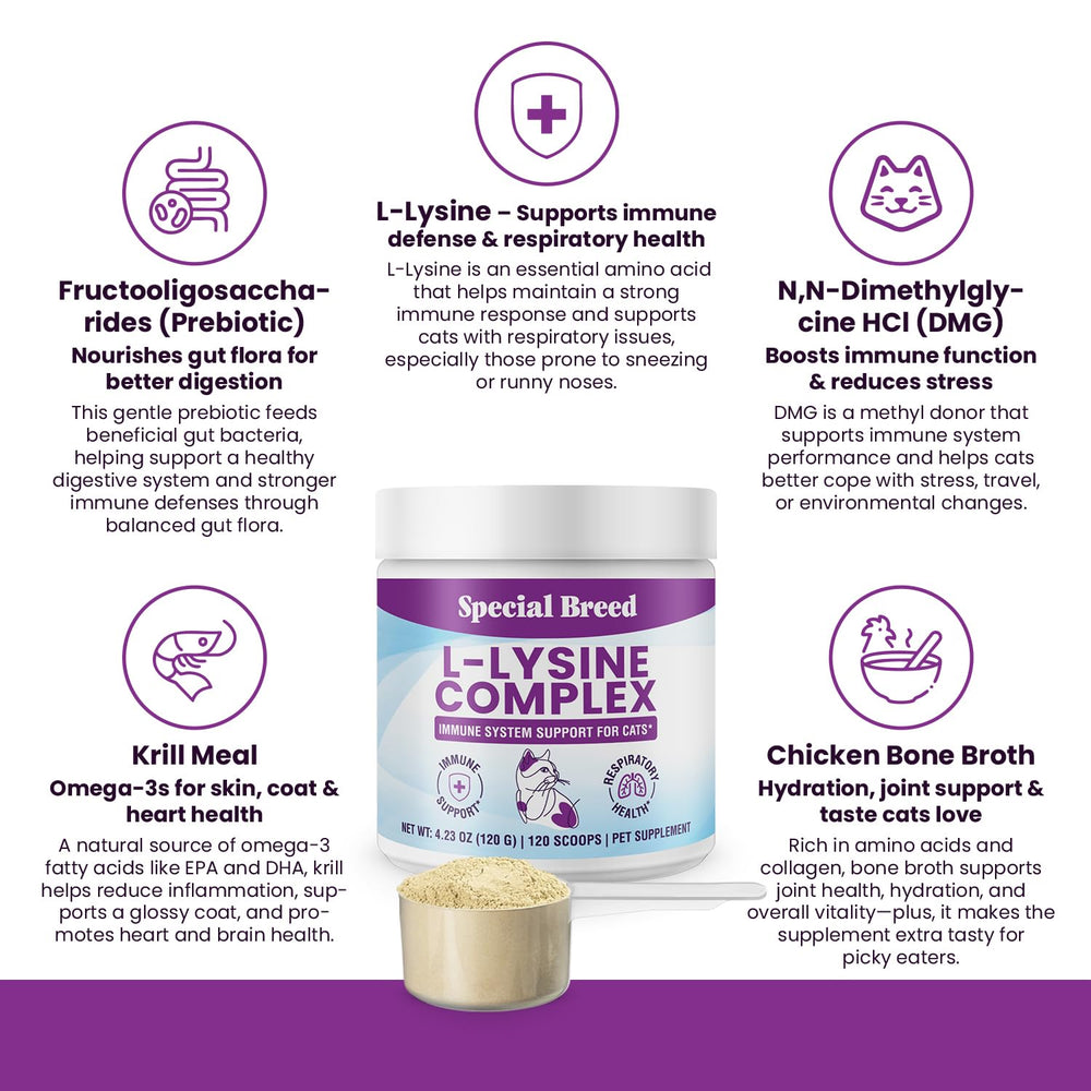 Special Breed cuillère doseuse versant poudre sur nourriture pour administration simple