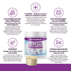 Special Breed cuillère doseuse versant poudre sur nourriture pour administration simple