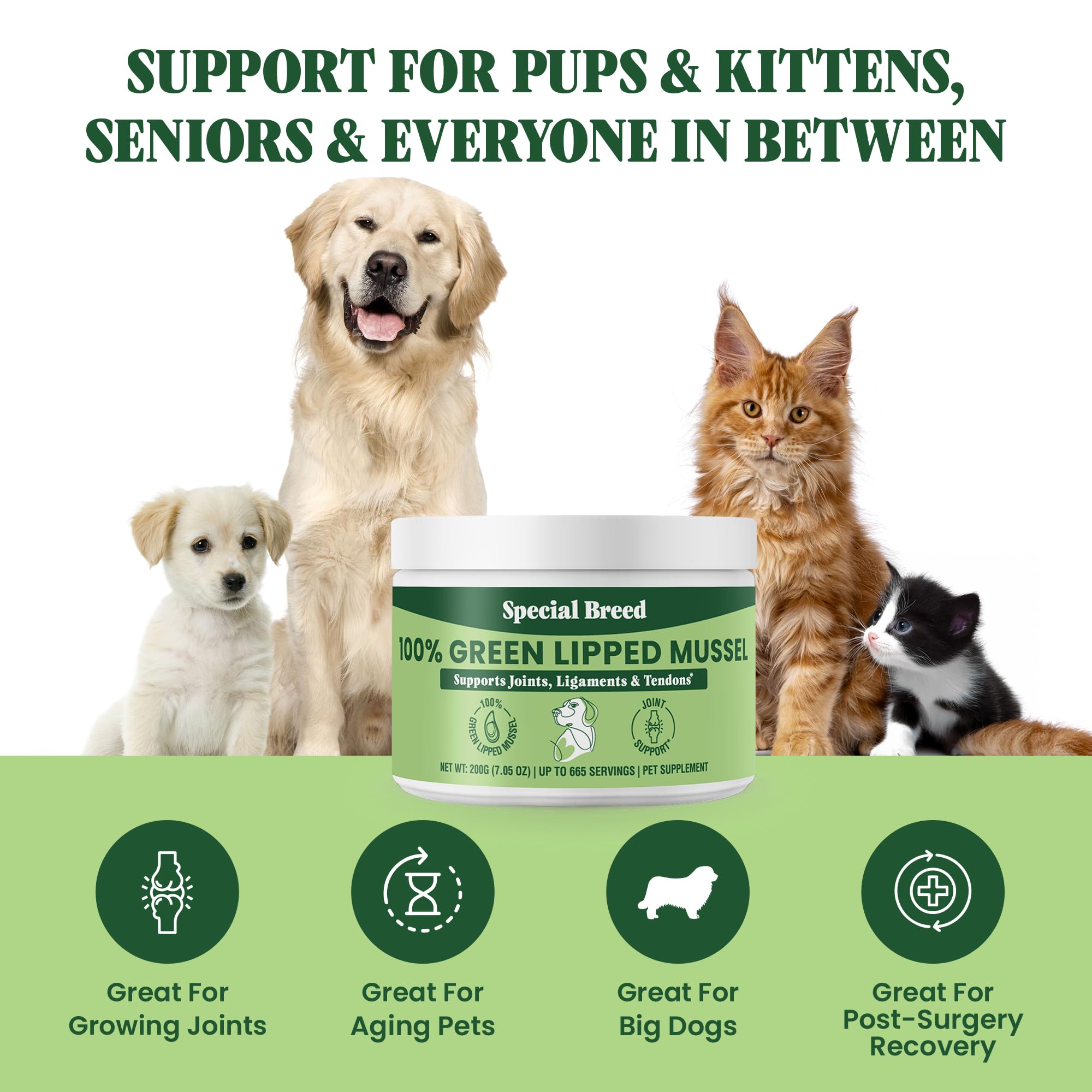 Special Breed cuillère de dosage illustrant la portion simple et économique