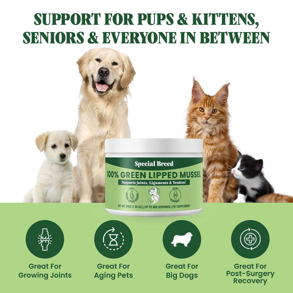 Special Breed cuillère de dosage illustrant la portion simple et économique