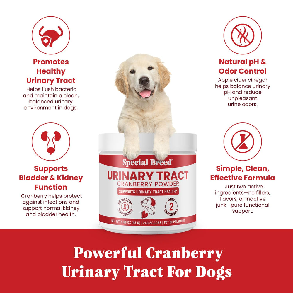 Special Breed doseur et cuillère pour dosage précis et administration simple