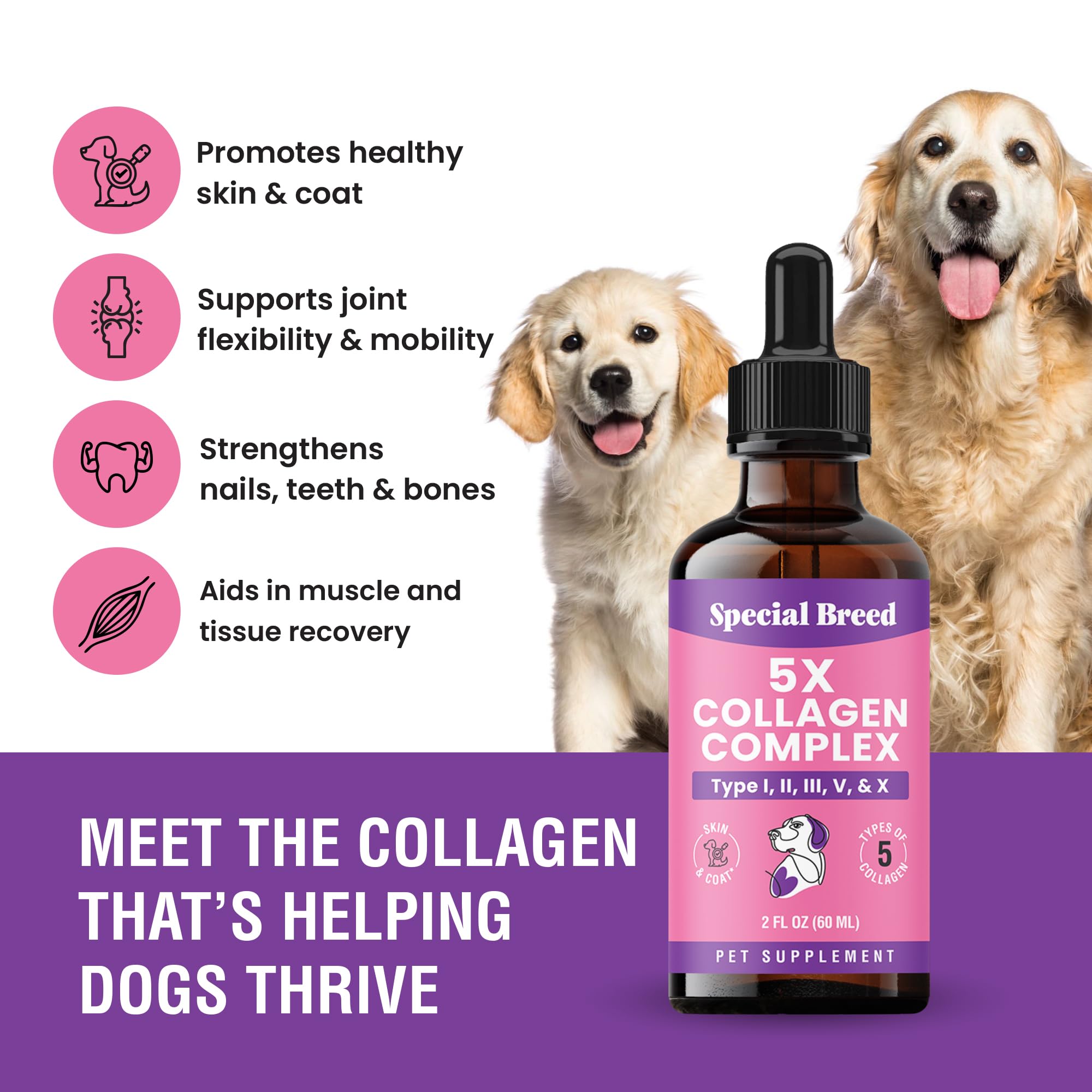 Special Breed gros plan sur la texture liquide, montrant consistance et absorption rapide