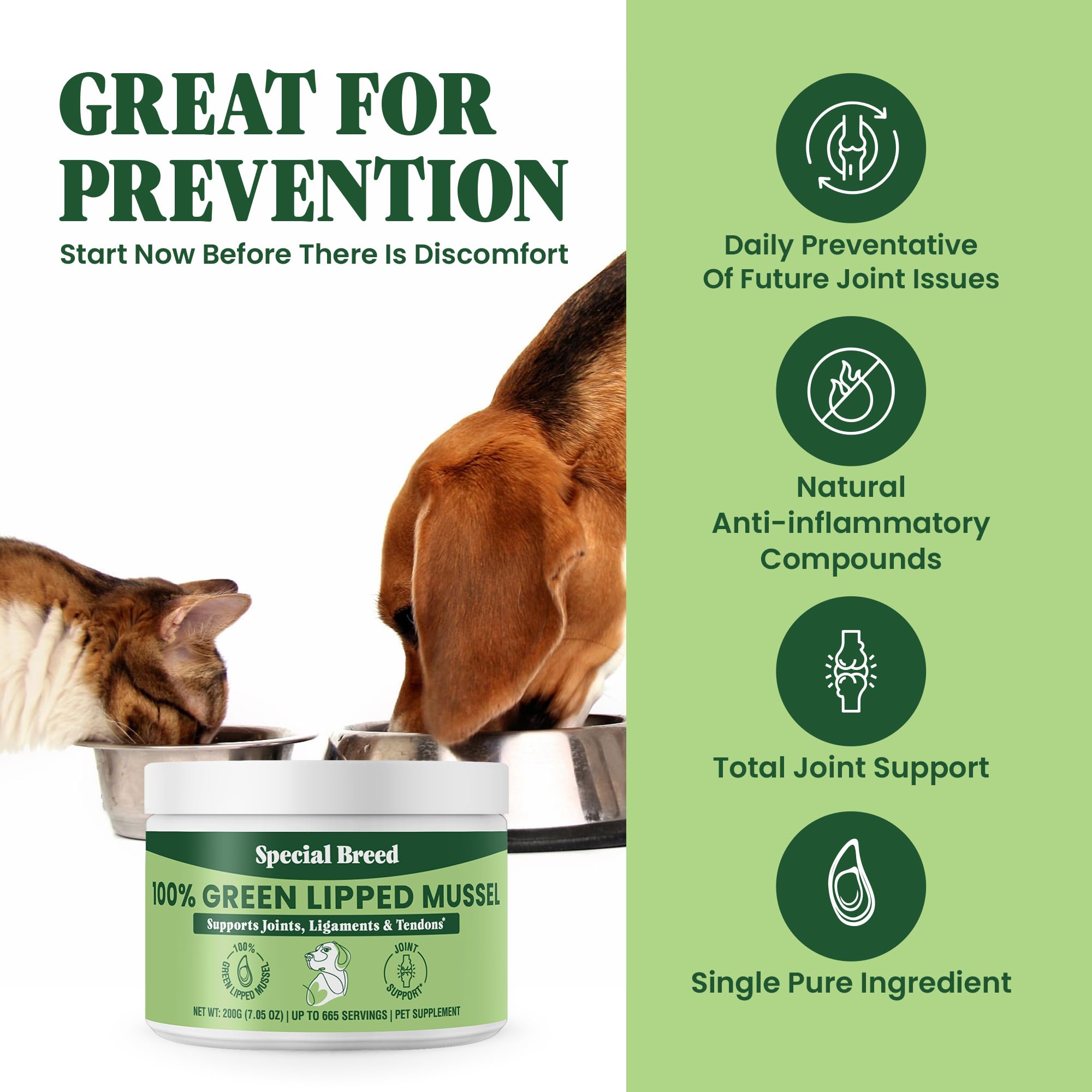 Special Breed texture à l'aide d'une cuillère mettant en valeur la poudre pratique