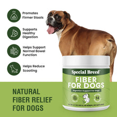 Special Breed gros plan texture de la poudre offrant mélange facile