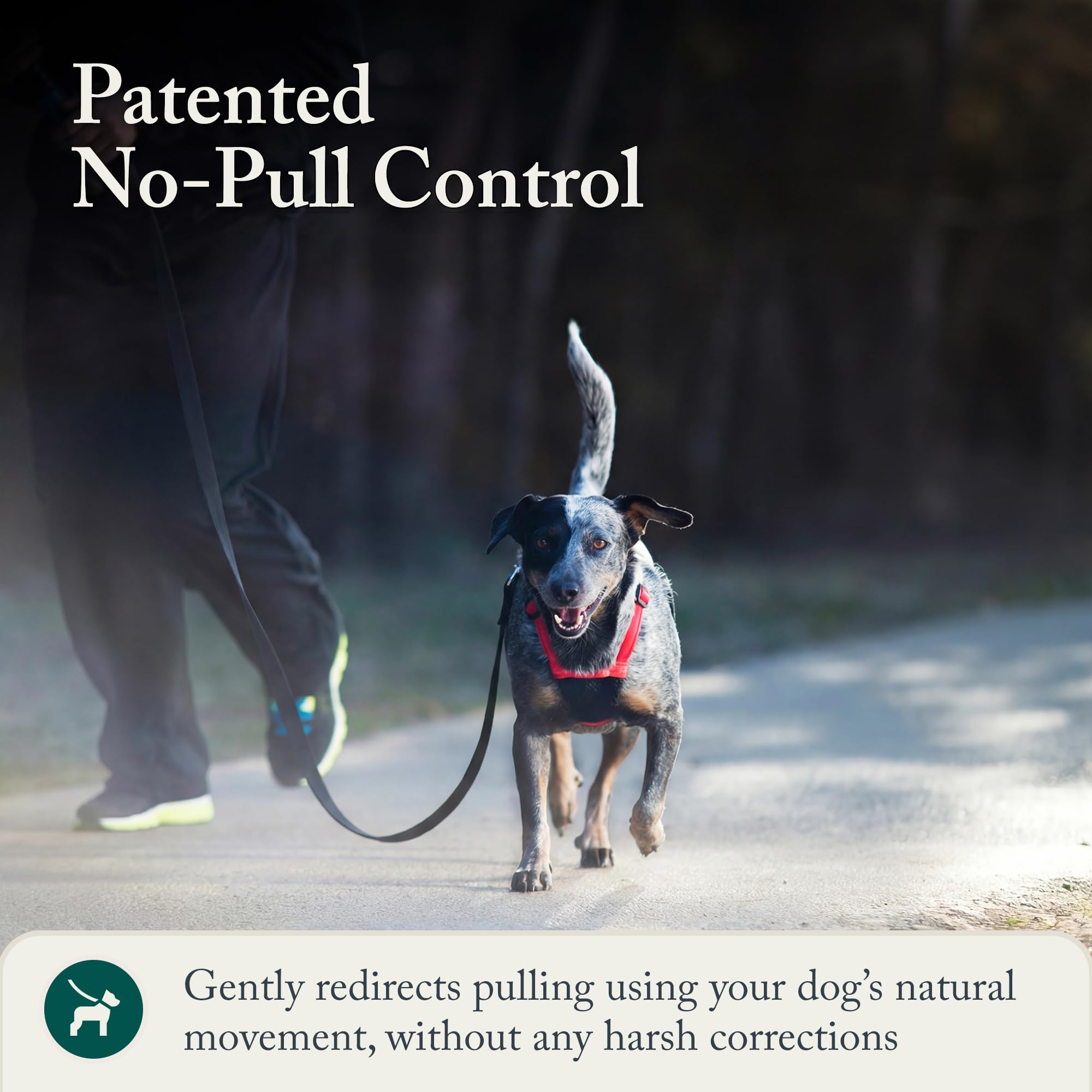 Sporn comparaison de taille montrant l'ajustement pour chiens moyens