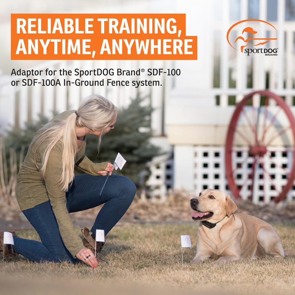 SportDOG adaptateur gros plan du connecteur garantissant un branchement stable