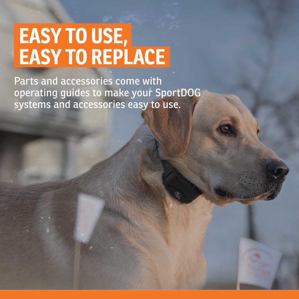 SportDOG adaptateur à l'échelle pour visualiser la taille et l'ajustement