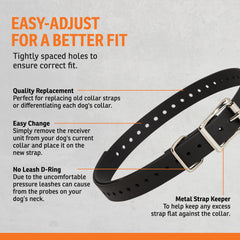 SportDOG collier porté en action pour performance