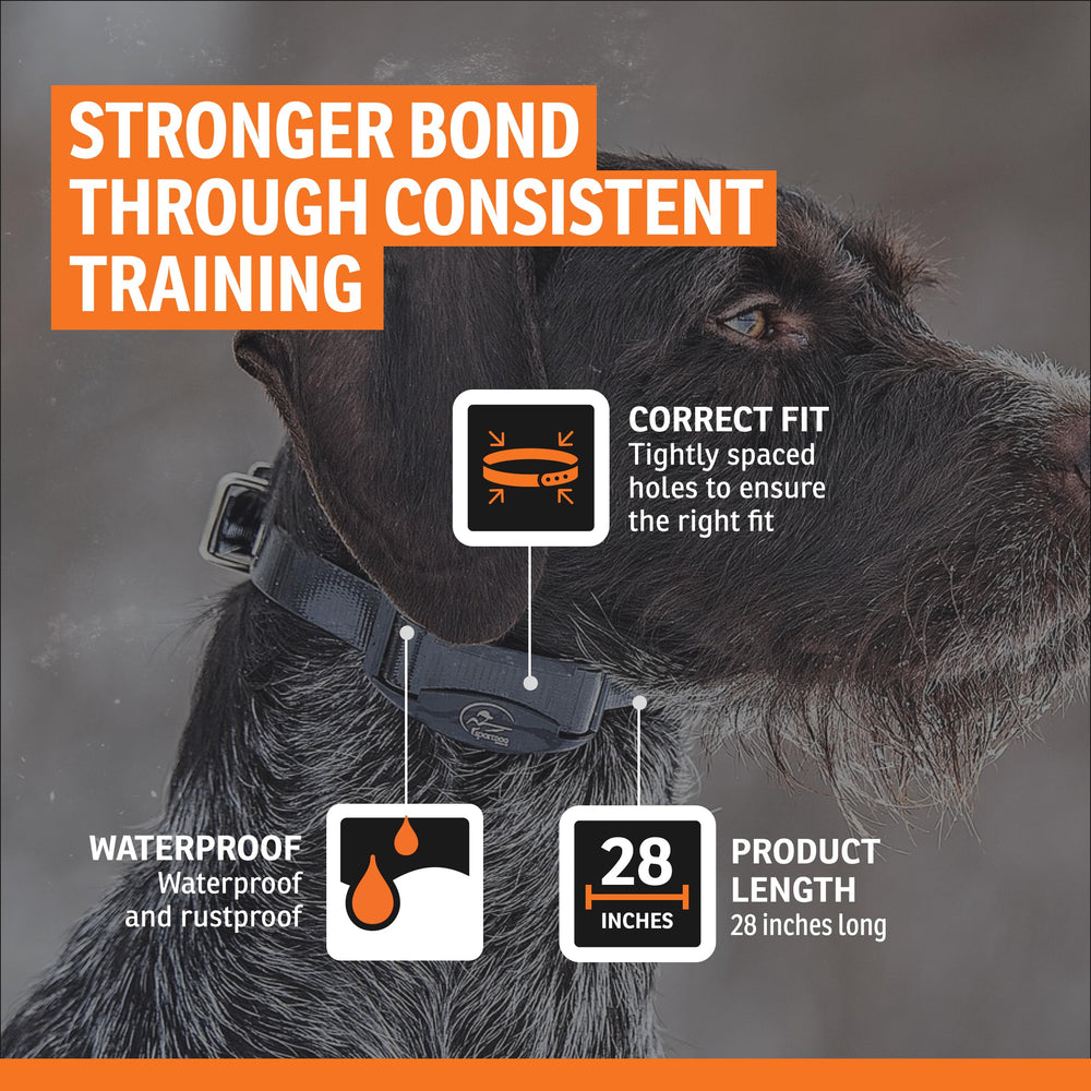 SportDOG sangle à l'échelle montrant compatibilité tailles et ajustement