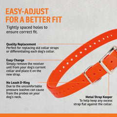 SportDOG sangle portée sur chien en eau pour performance étanche
