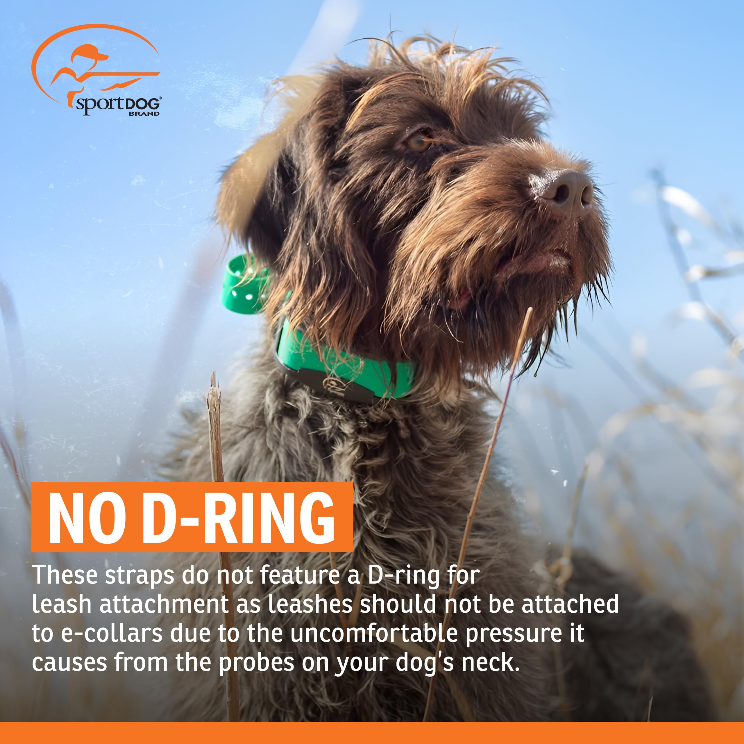 SportDOG sangle camouflage en contexte de chasse pour discrétion