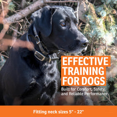 SportDOG texture souple de la sangle offrant confort et résistance
