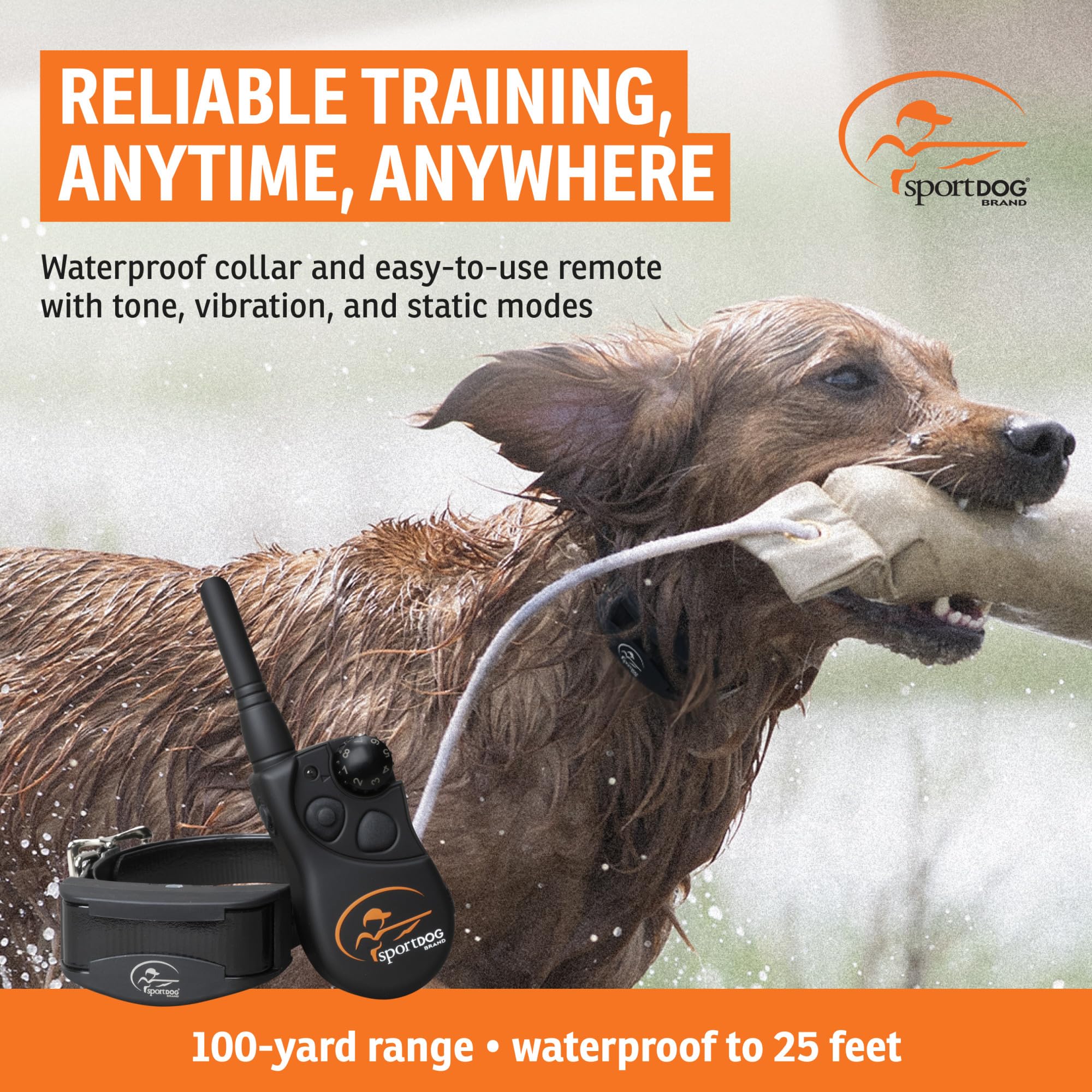 SportDOG collier profil fin et confortable pour port quotidien
