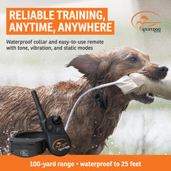 SportDOG collier profil fin et confortable pour port quotidien