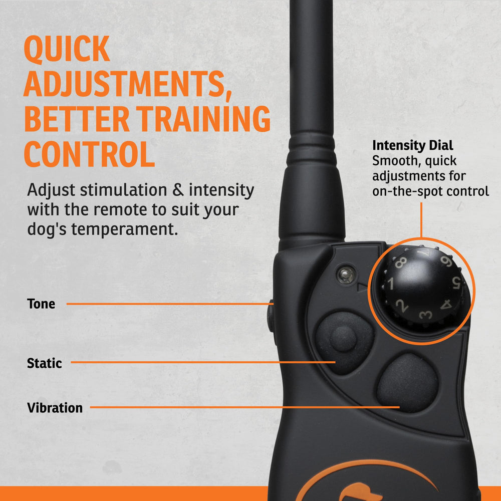 SportDOG collier submersible dans l'eau résistant aux intempéries