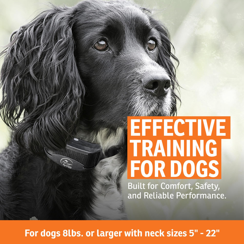 SportDOG gros plan sur boutons de la télécommande pour utilisation simple