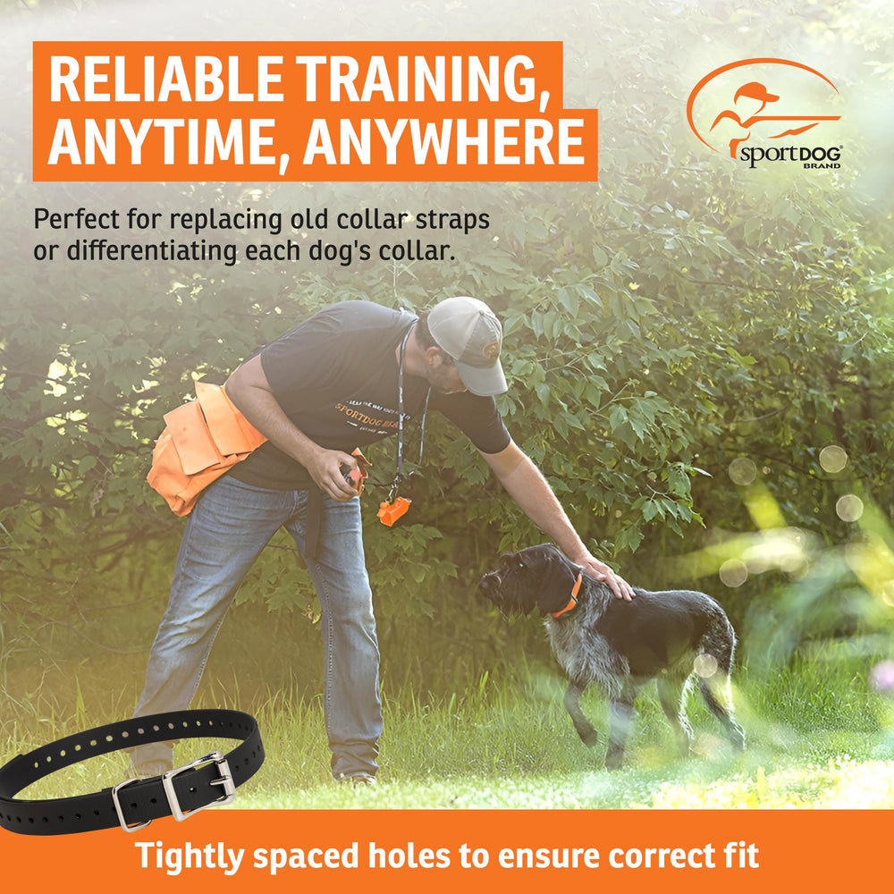 SportDOG zoom sur boucle métal apportant sécurité