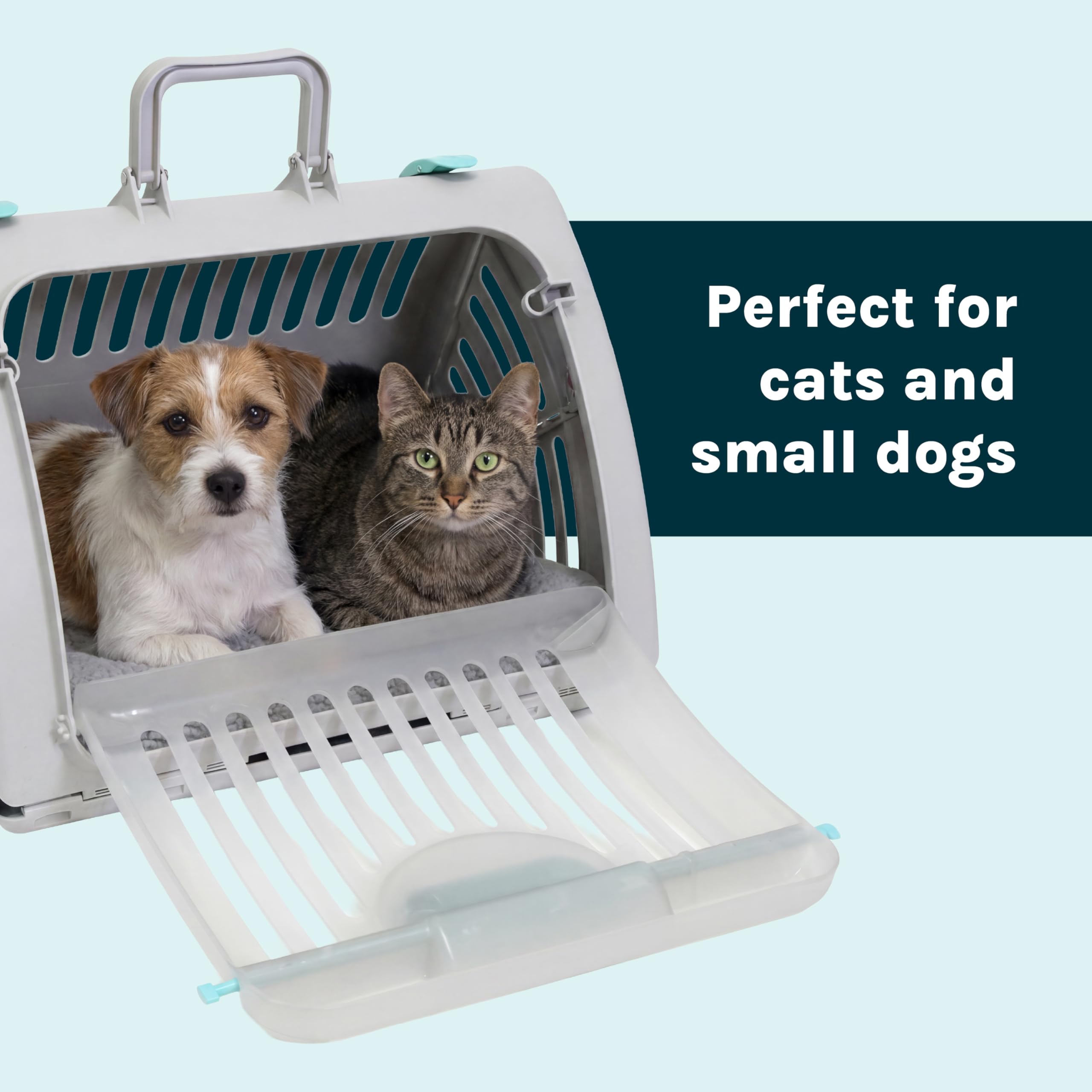 SportPet Designs chat montant dans le transporteur illustrant embarquement naturel