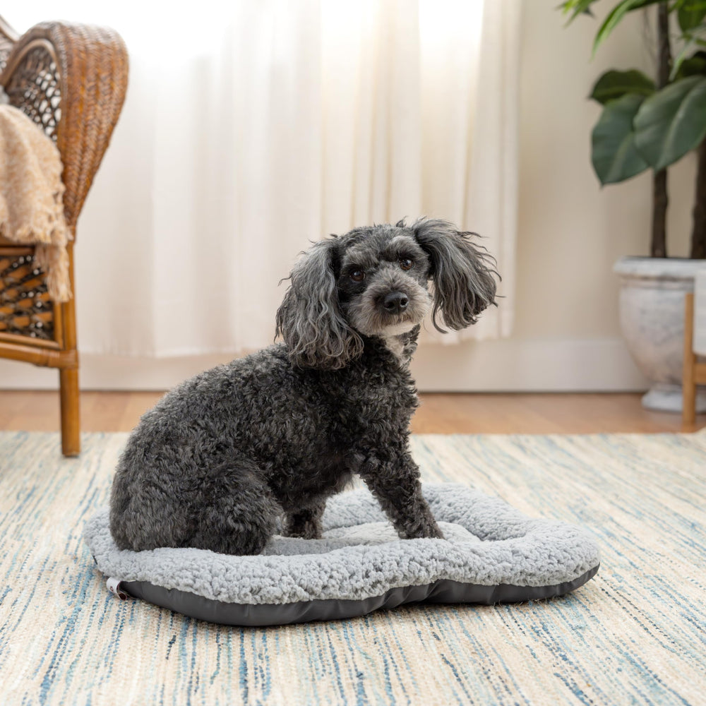 SportPet comparaison taille soulignant compatibilité précise