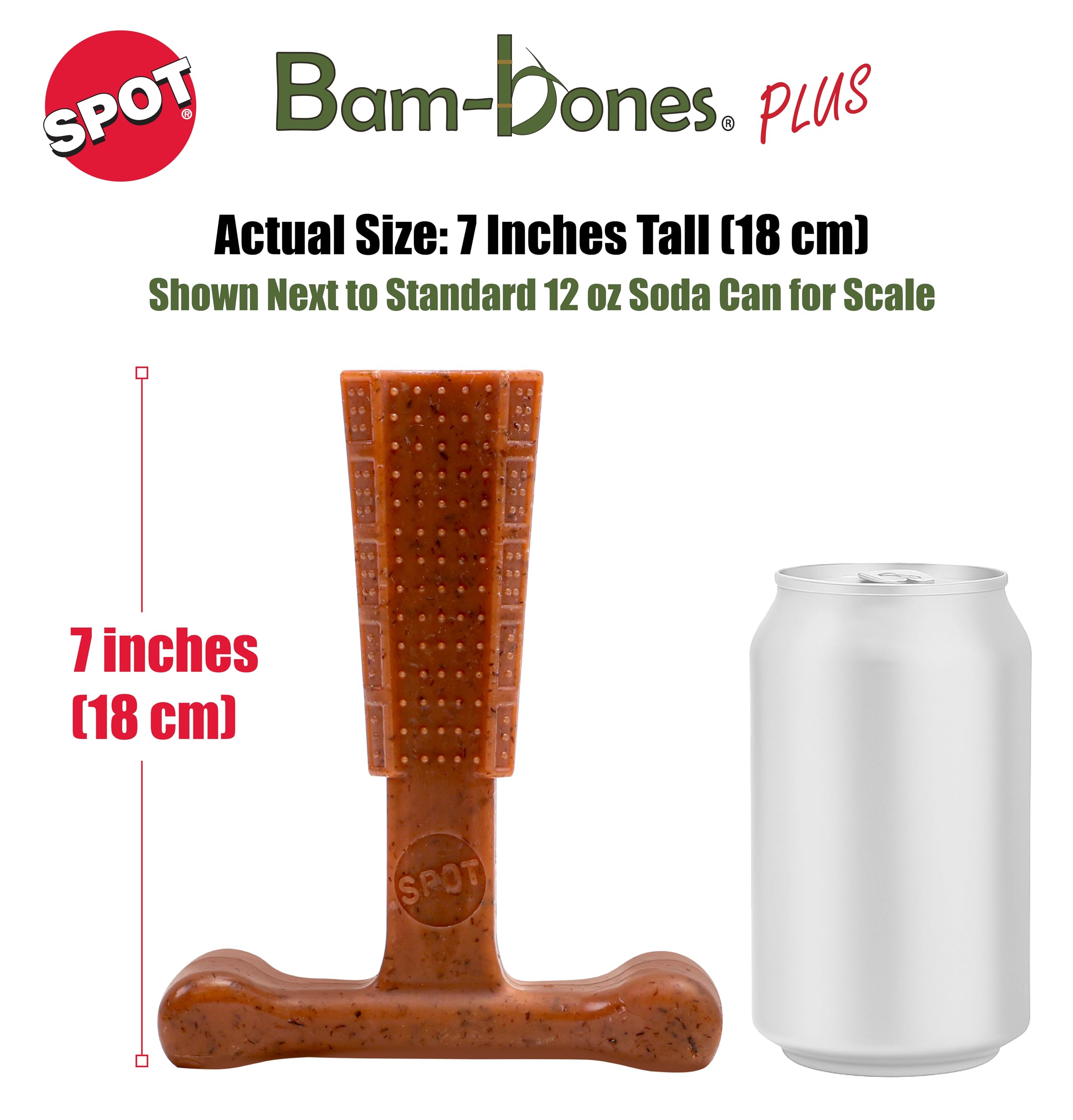 SPOT comparaison avec labrador montre taille adaptée pour grand chien