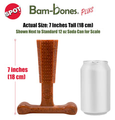 SPOT comparaison avec labrador montre taille adaptée pour grand chien