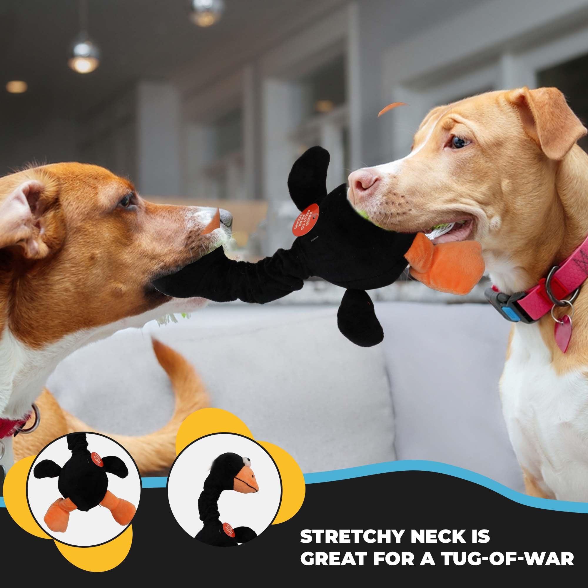 SPOT jouet 35 cm posé sur tapis, idéal pour chiens petits et moyens