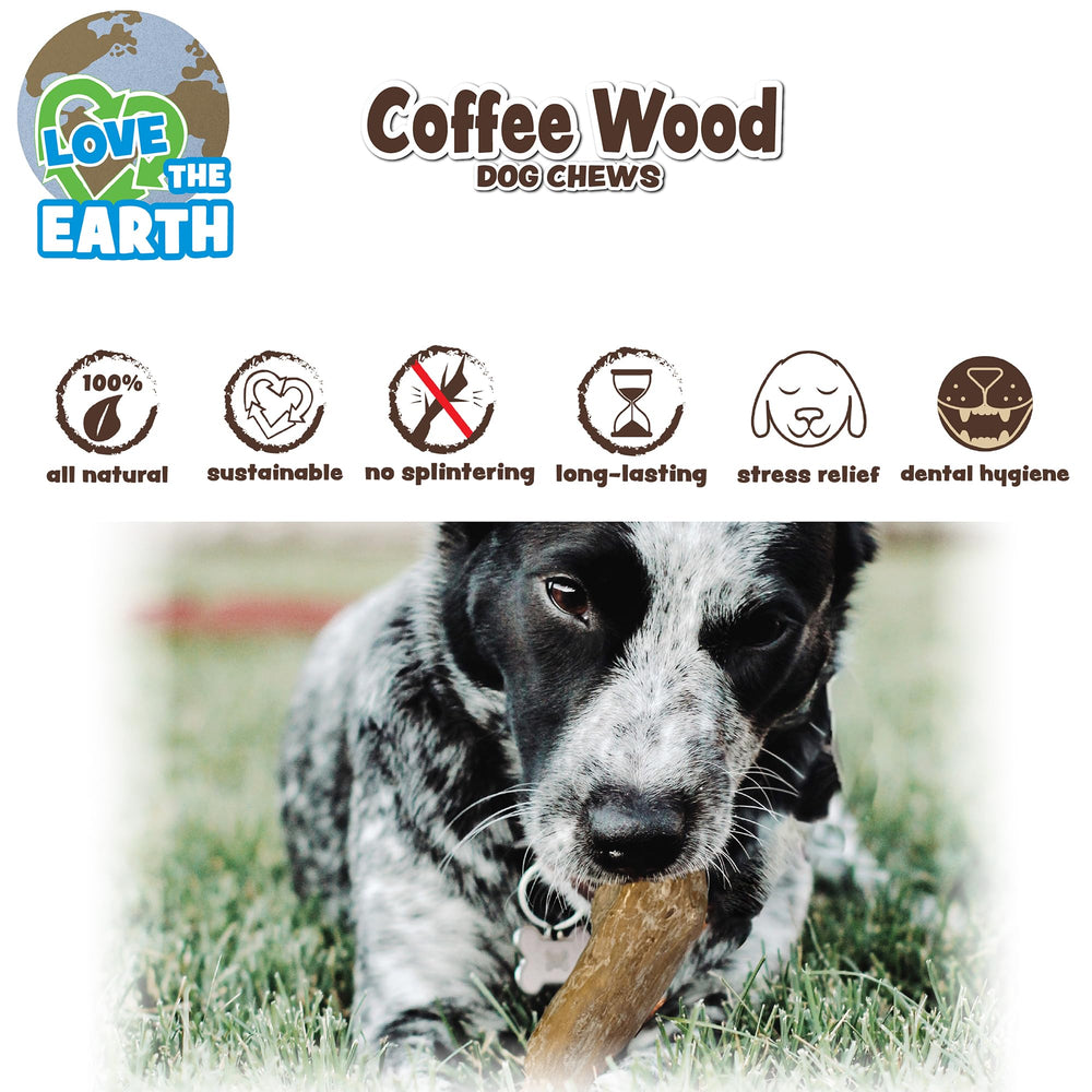 Gros plan SPOT sur texture bois de café, résistante et durable