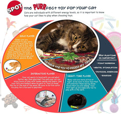 SPOT comparaison taille à la main pour évaluer l'ergonomie pour chat