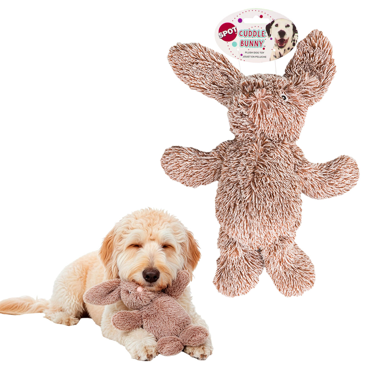 SPOT peluche face avant montrant design câlin et attractif