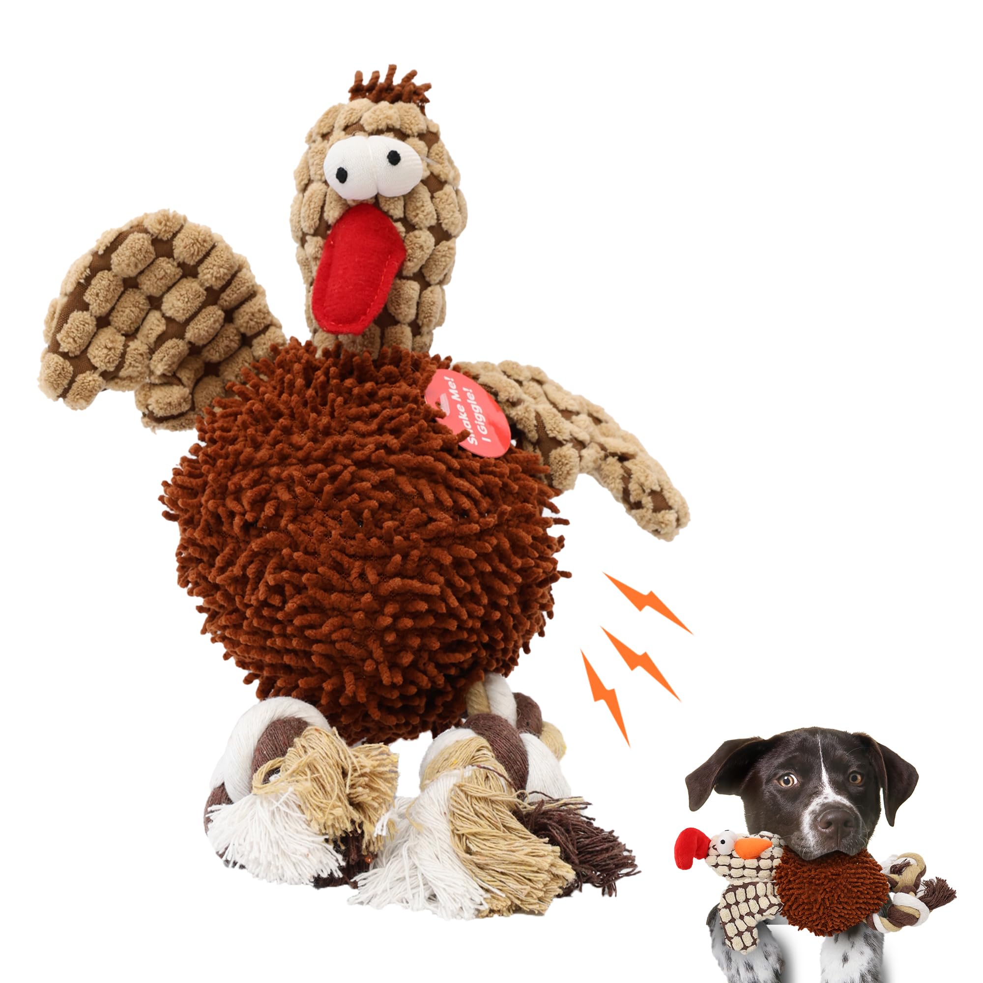 SPOT poulet face avant montrant le visage attrayant pour jouer