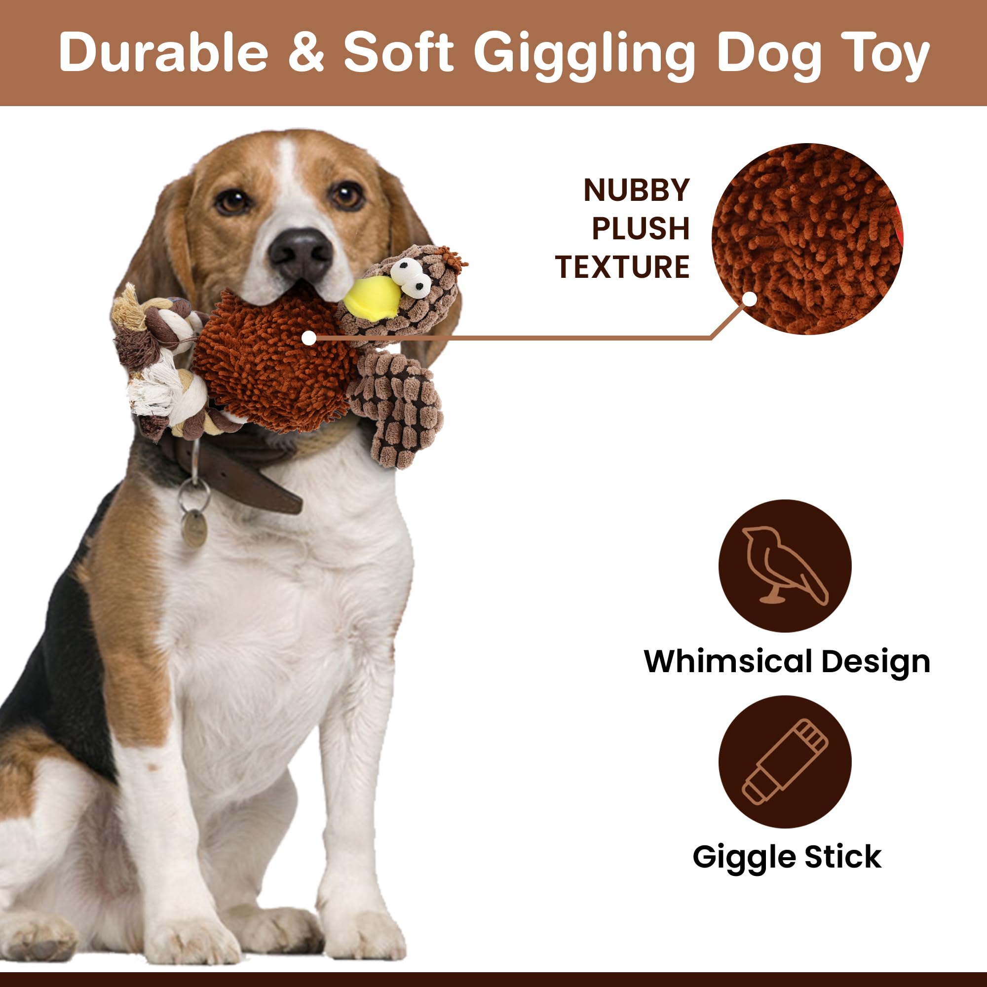 SPOT en jeu avec petit chien montrant engagement et excitation