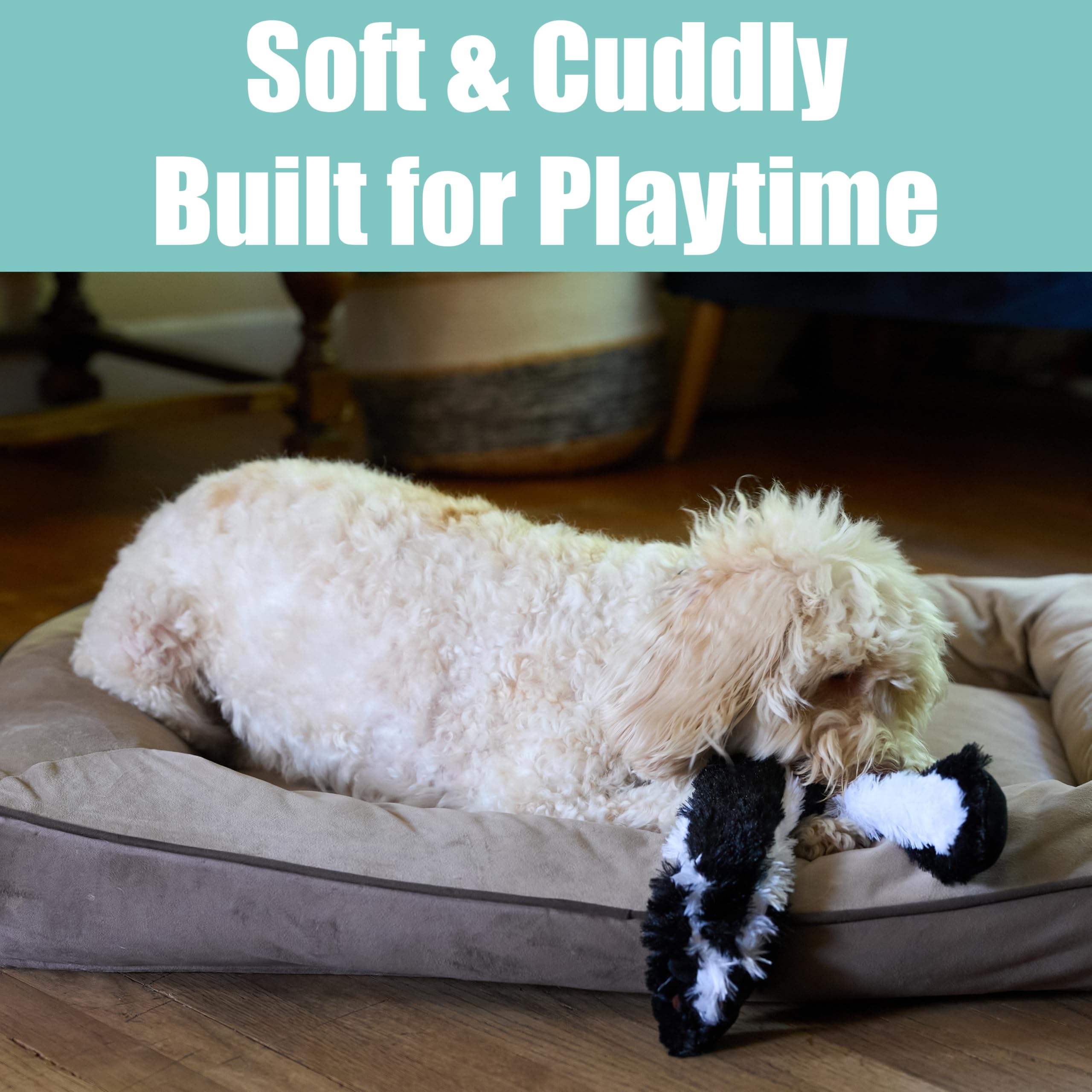 SPOT Skinneeez Skunk chien moyen jouant montrant compatibilité perçue