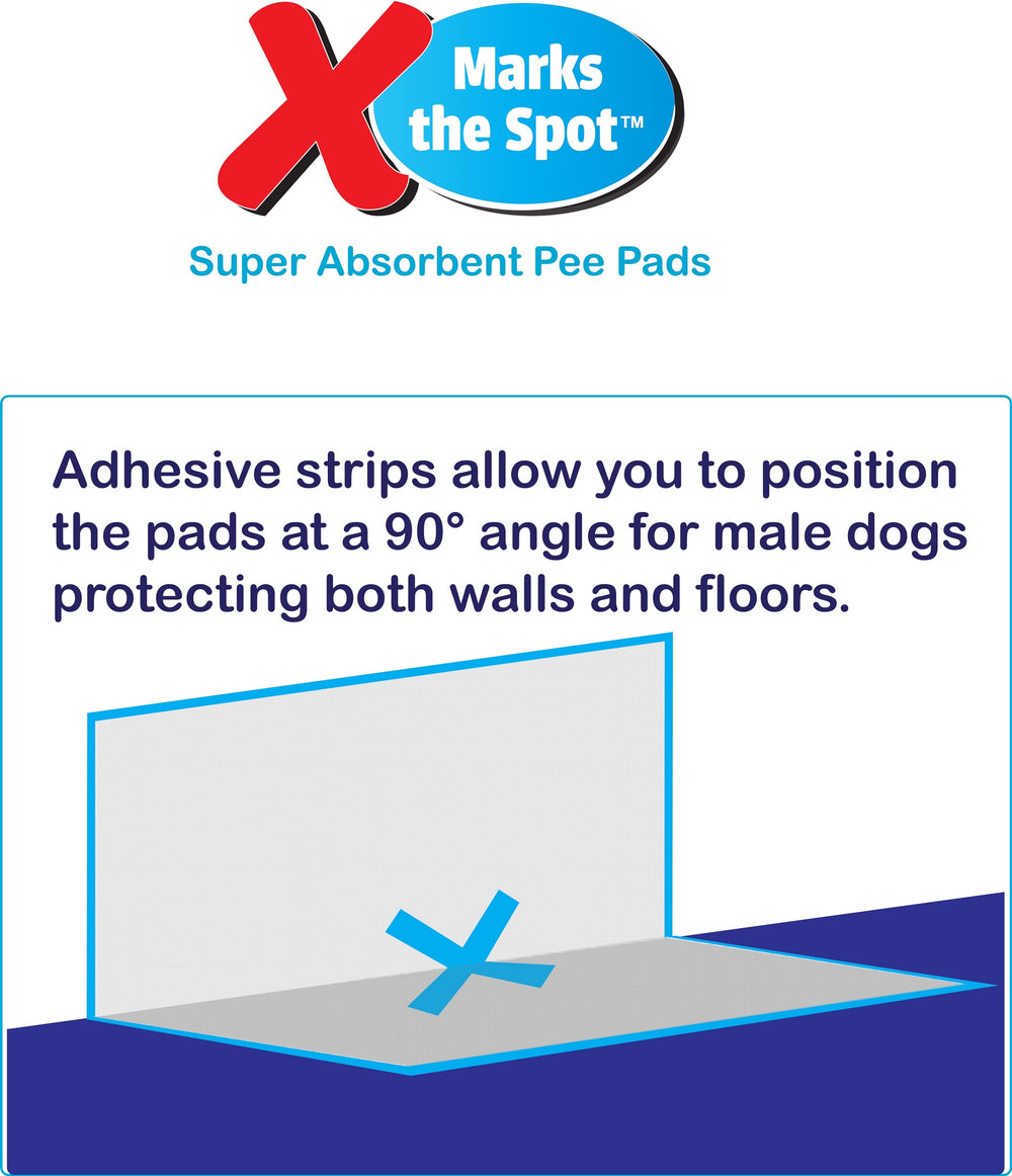 SPOT démonstration d’absorption montrant 4 tasses retenues