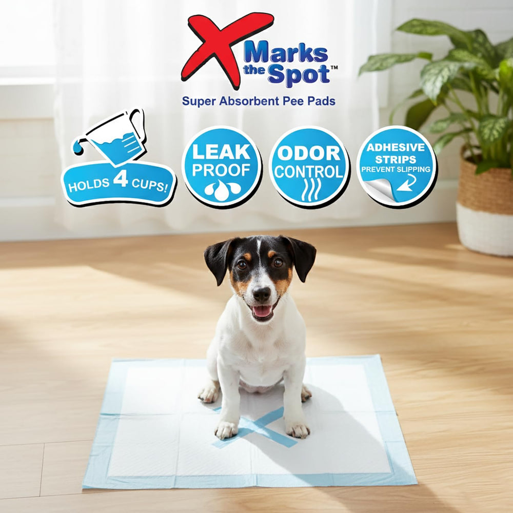 SPOT tapis placé dans une caisse pour voyage sécurisé et propre